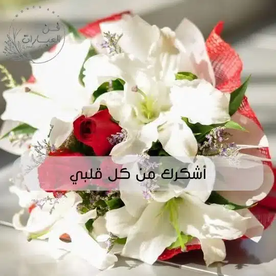 الرد على كثر الله خيرك