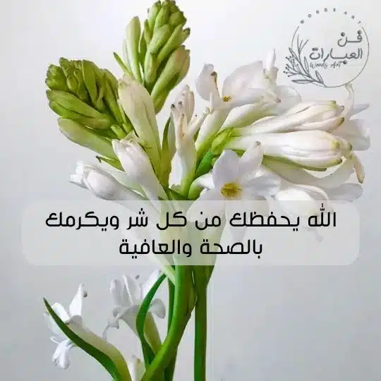 رد يعطيك العافية
