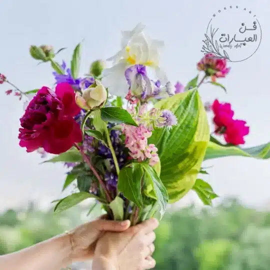 رد يعطيك العافية