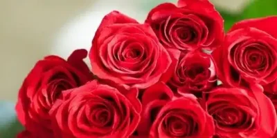 ماهو الرد على كلمة حي عينك