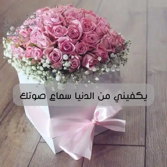 عاش من شافك الرد