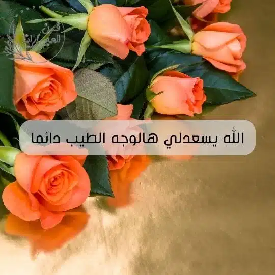 ما هو الرد على كلمة فديتك الرد على فديت عيونك فديت قلبك الرد على كلمة فديتك