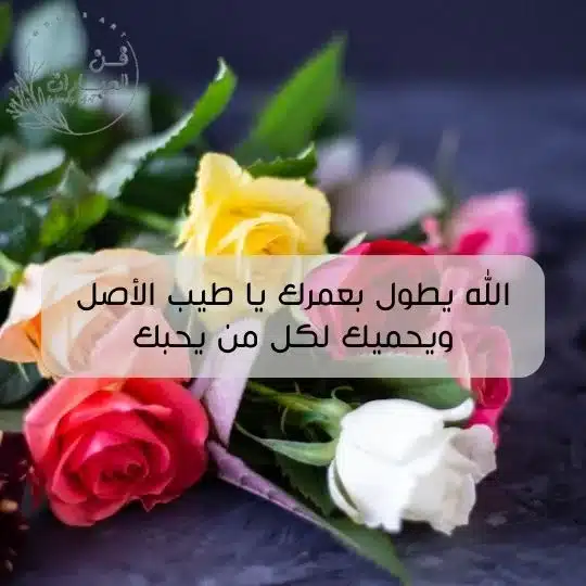 ما هو الرد على كلمة فديتك الرد على فديت عيونك فديت قلبك الرد على فديت عيونك