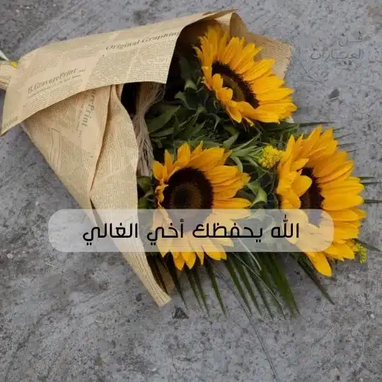 الرد على بسم الله عليك من التعب