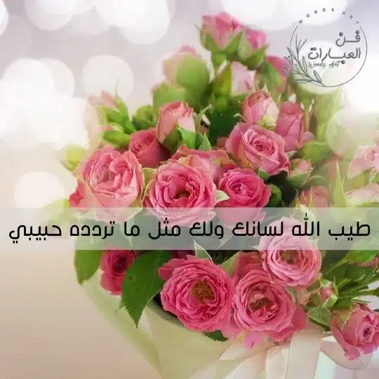 بسم الله عليك