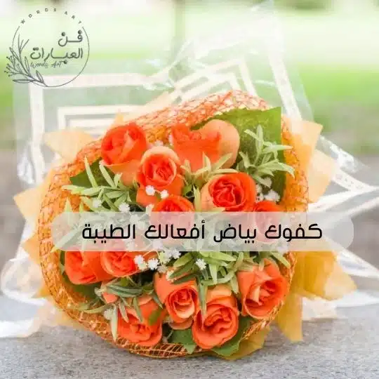 الرد على كلمة كفو