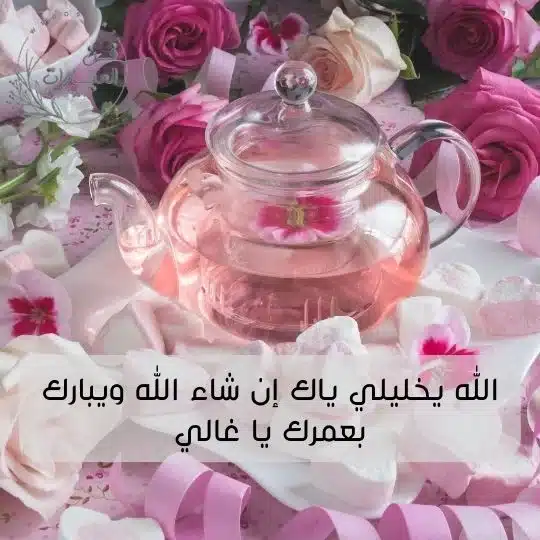 عاشت الاسامي رد