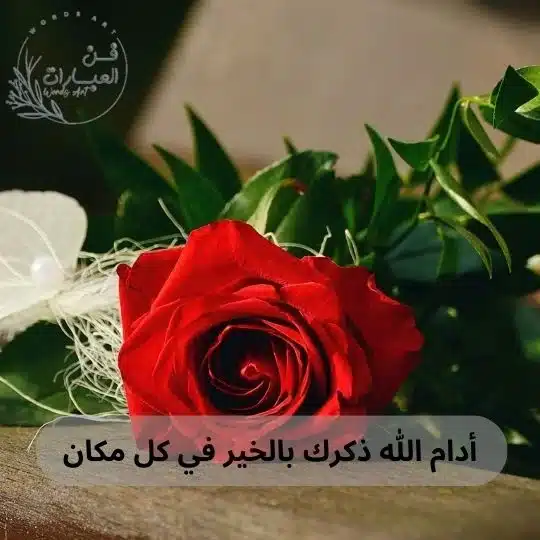 عاشت الاسامي ردها