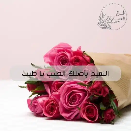 ماهو الرد على كلمة ماعليك زود معنى ماعليك زود الرد النعيم باصلك الطيب يا طيب