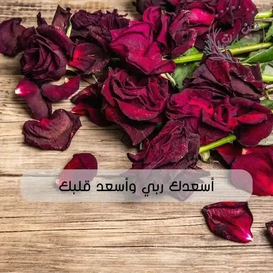 ماهو الرد على كلمة ماعليك زود معنى ماعليك زود الرد اسعدك ربي واسعد قلبك