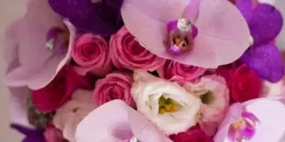 ماهو الرد على كلمة ماعليك زود