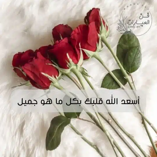 أسعد الله قلبك بكل ما هو جميل 