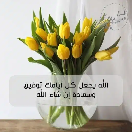 الله يجعل كل ايامك توفيق وسعادة إن شاء الله 