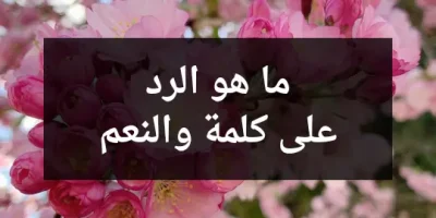 ما هو الرد على كلمة والنعم