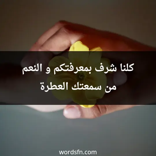 كلنا شرف بمعرفتكم و النعم من سمعتك العطرة