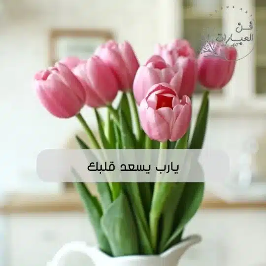 الرد على كلمة قرة عينك