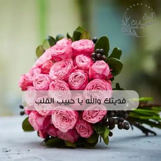 الرد على قرة عينك بشوفته