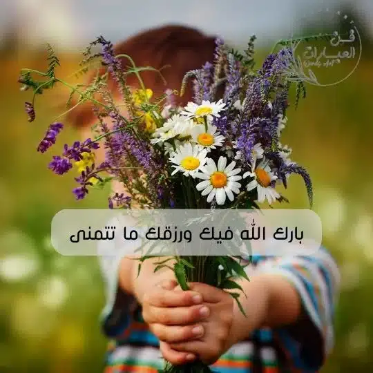 قرة عينك ماذا ترد