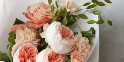 ماهو الرد على كلمة قرة عينك