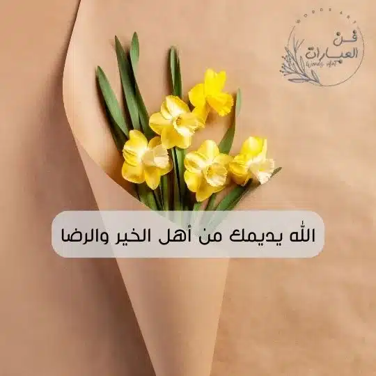 الرد على قرة عينك