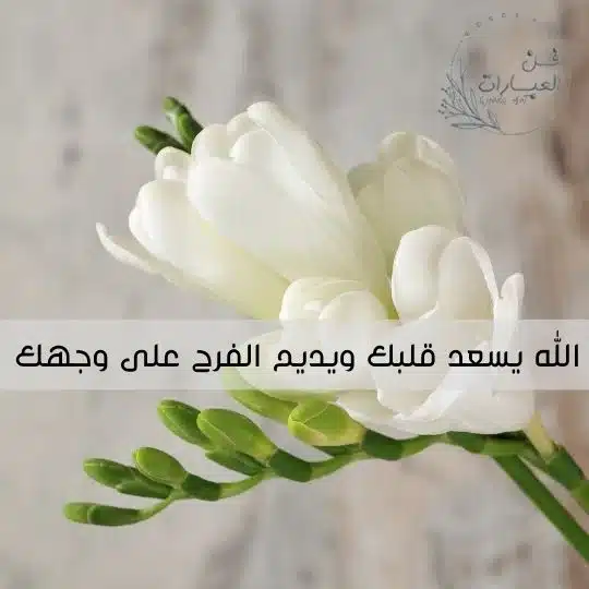 ماهو الرد على كلمة ماتشوف شر كيف أرد على ماتشوف شر يارب الرد على ماتشوف شر يارب