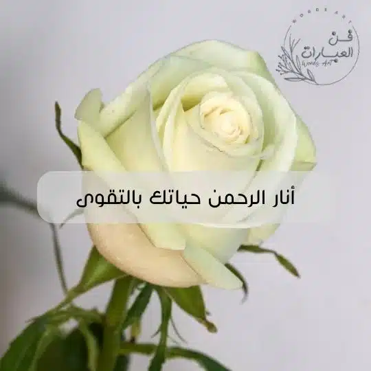 الرد على كلمة منور