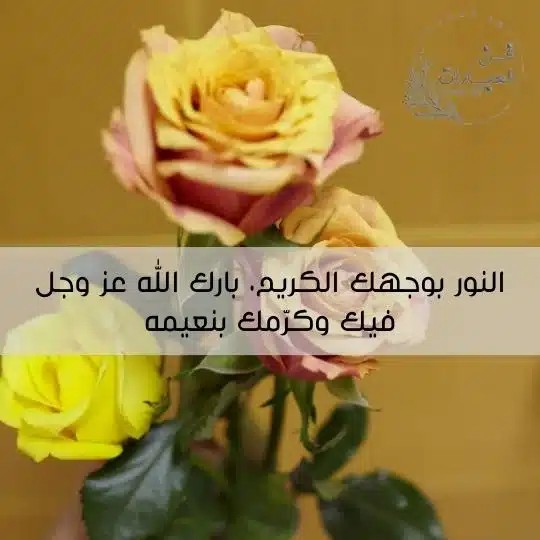 الرد على كلمة منورين