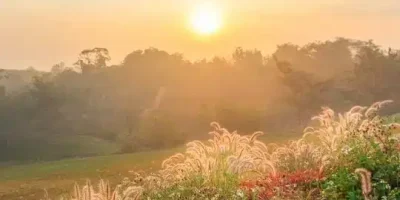 ماهو الرد على كلمة يسعد صباحك