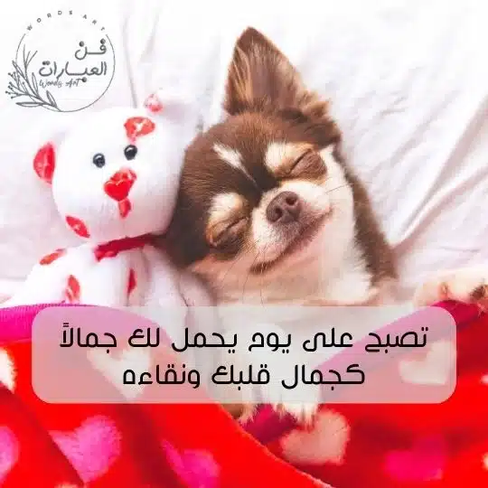 الرد على كلمة تصبح على خير