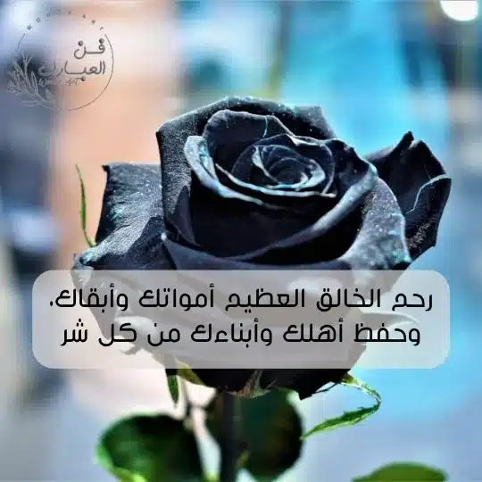 الرد على الله يرحمه ويجعل مثواه الجنة