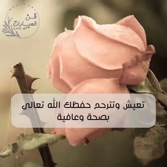 ما هو الرد على الله يرحمه