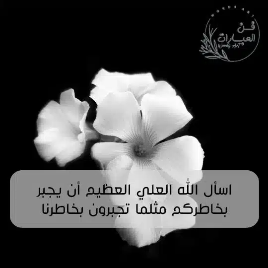 ما هو الرد على الله يرحمه