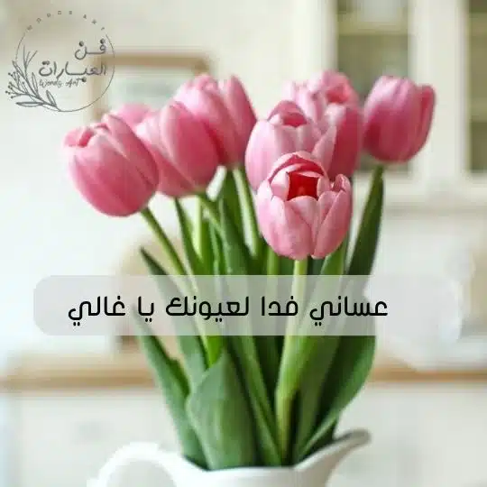 الرد على فداك