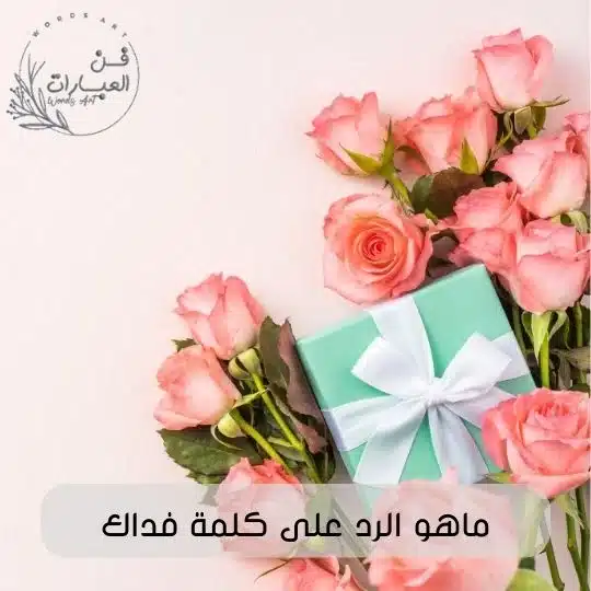 ماهو الرد على كلمة فداك ما هو الرد على جعلني فداك فديت عيونك