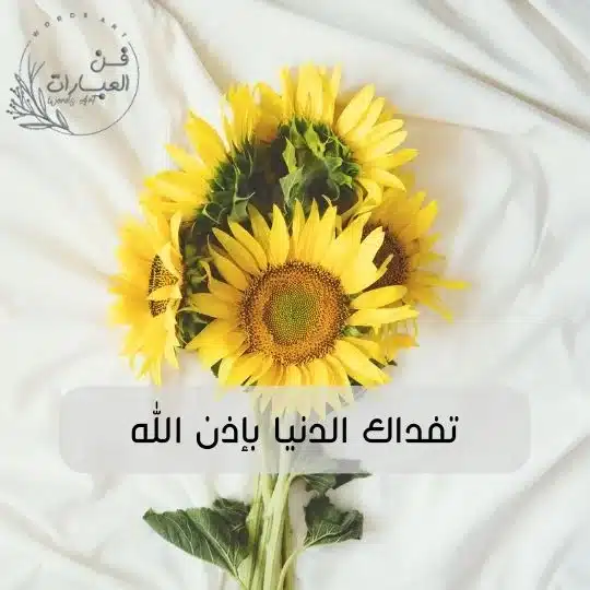 ما هو الرد على جعلني فداك