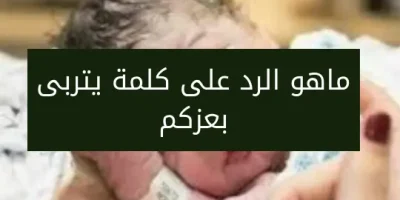 ماهو الرد على كلمة يتربى بعزكم