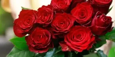 ما هو الرد على كلمة سمي الرد على سم وش الرد على كلمة سمي