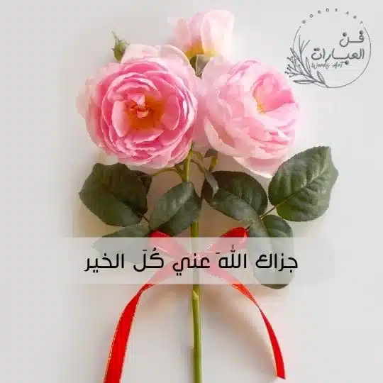 الرد على لا خلا ولا عدم