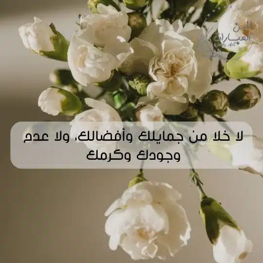 رد لا خلا ولا عدم