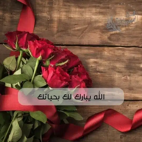 لا خلا ولا عدم معنى