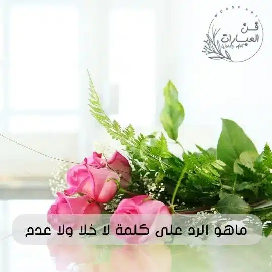 ماهو الرد على كلمة لا خلا ولا عدم معنى لا خلا ولا عدم