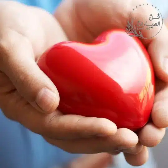 الرد على كلمة لبيه