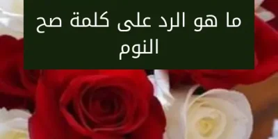 ما هو الرد على كلمة صح النوم