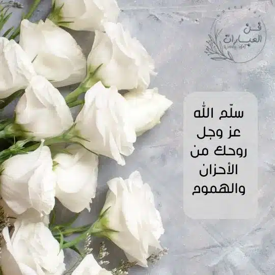 الرد على تسلمي