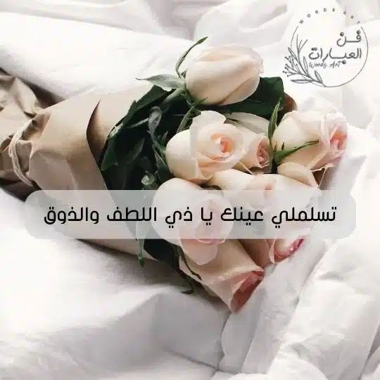 الرد على سلمت