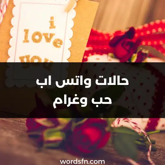 حالات واتس اب حب وغرام