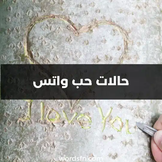 حالات حب واتس
