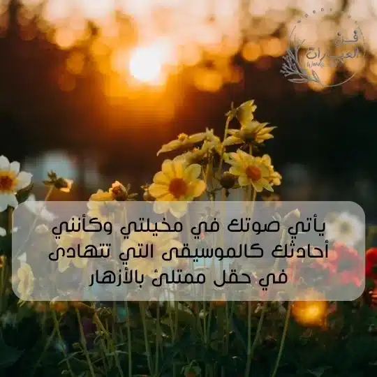 كلام حب وغرام تويتر