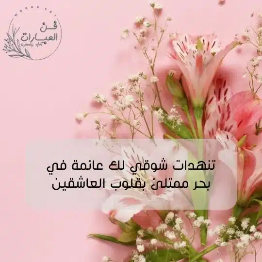 بيسيات حب تويتر